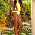 Tiffany Tailor - image 